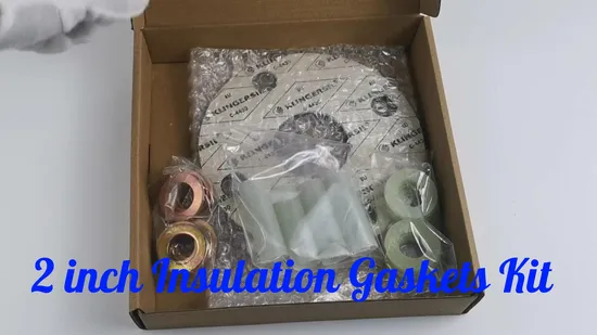 Joint de kit d'isolation de bride de protection cathodique ASME B16.5 Wn Rtj de 12 pouces 1500 lb